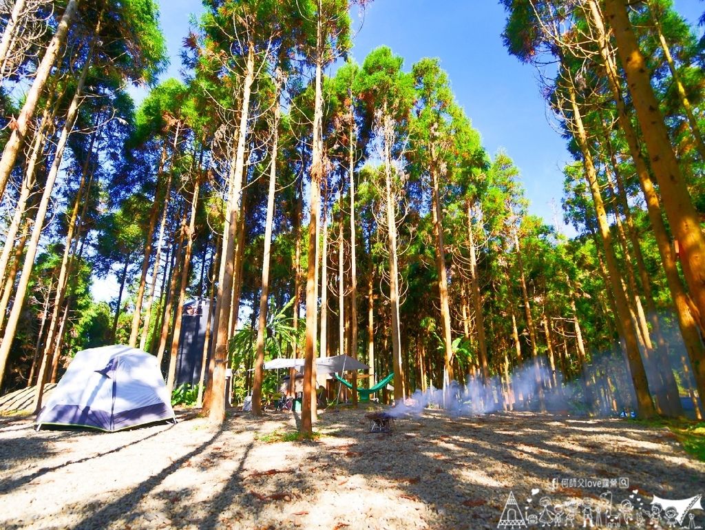 轉讓 4/4 杉彩露營區 D12位置