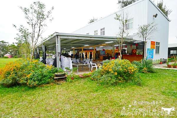 新豐親子休閒露營區 媽媽們的極樂天堂免煮食 免洗碗 全放生好快樂何師父 露營 旅行瘋親子遊戲漂漂河bbq吃到飽可愛動物親子互動