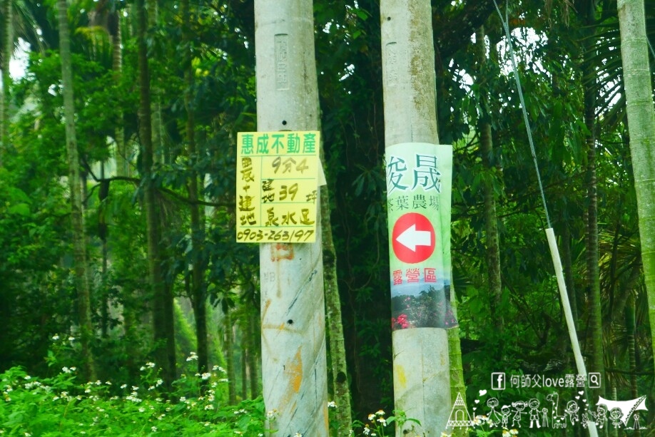 【浚晟景觀茶園農場】海拔1100冰炫風暴來襲 !即將淹沒全視