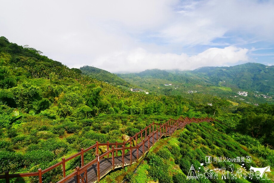 【鞦之林自然生態露營區】嘉義高海拔唯一 ! 絕美阿裏山城市夜景第一排 何師父