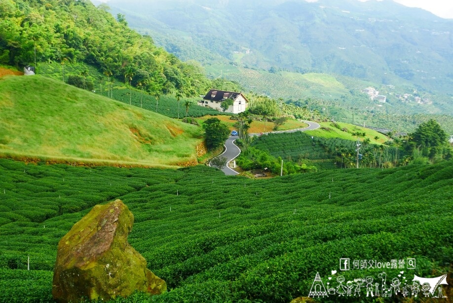 【鞦之林自然生態露營區】嘉義高海拔唯一 ! 絕美阿裏山城市夜景第一排 何師父