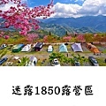 【2024全台最強/住宿露營/免搭帳/豪華露營/懶人露營】1