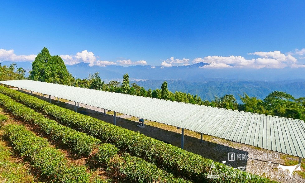 【浚晟景觀茶園農場】海拔1100冰炫風暴來襲 !即將淹沒全視