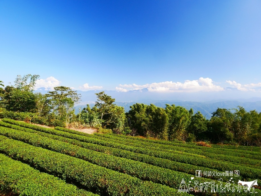 【浚晟景觀茶園農場】海拔1100冰風暴來襲 !即將淹沒全視界