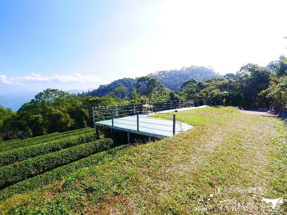 【浚晟景觀茶園農場】海拔1100冰風暴來襲 !即將淹沒全視界