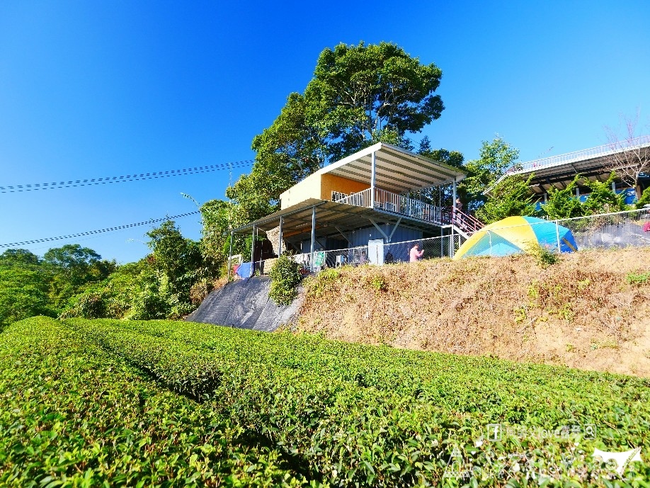 【浚晟景觀茶園農場】海拔1100冰炫風暴來襲 !即將淹沒全視