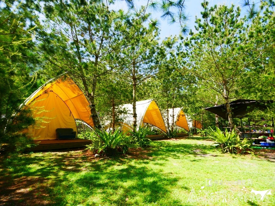 【木谷森林親子露營區】中部親子森林系 終於出現 ! 隱藏版