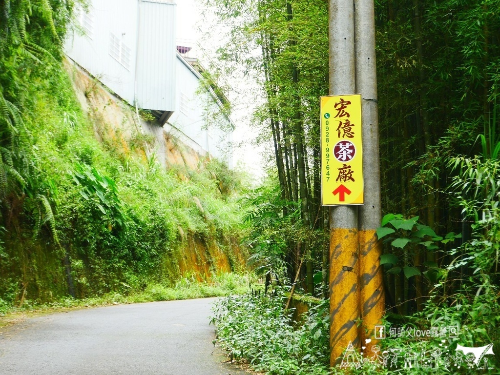 【宏億景觀茶園】真的太熱了 !  想不想躲到海拔1450公尺
