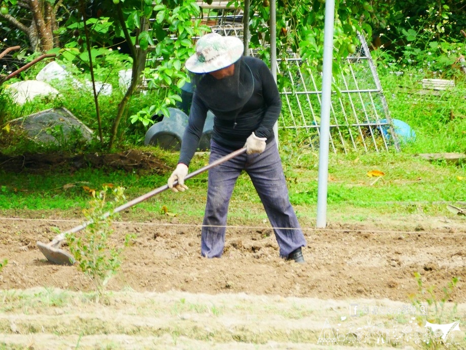 【細湖頂休閒露營區】哇 完蛋了 !獨立VIP大雨棚這次真的訂