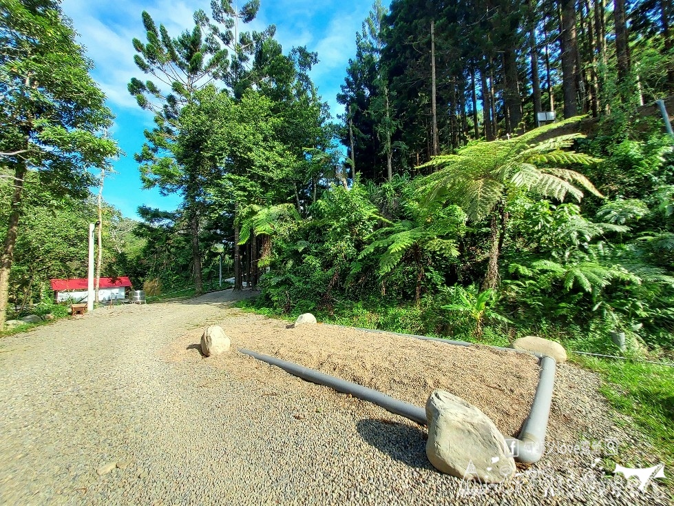 【文森知萊森林營地】哇太超過了 !大家都喜歡森林系營地是真的