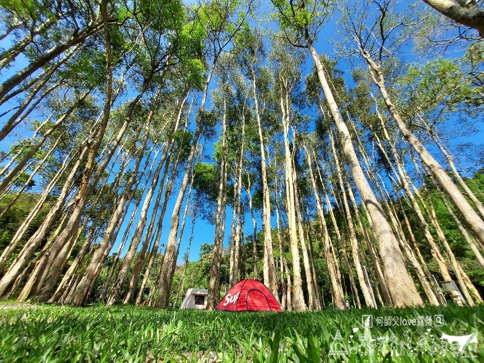 【文森知萊森林營地】哇太超過了 !大家都喜歡森林系營地是真的