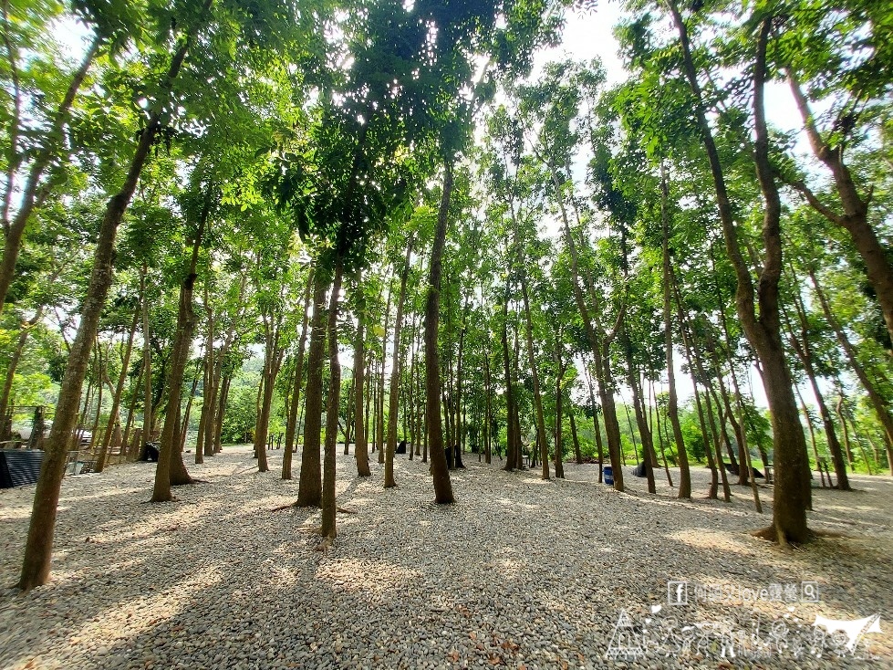 【將軍山歐舍營地】天啊出大事了 !超利害森林新樂園出現在南台