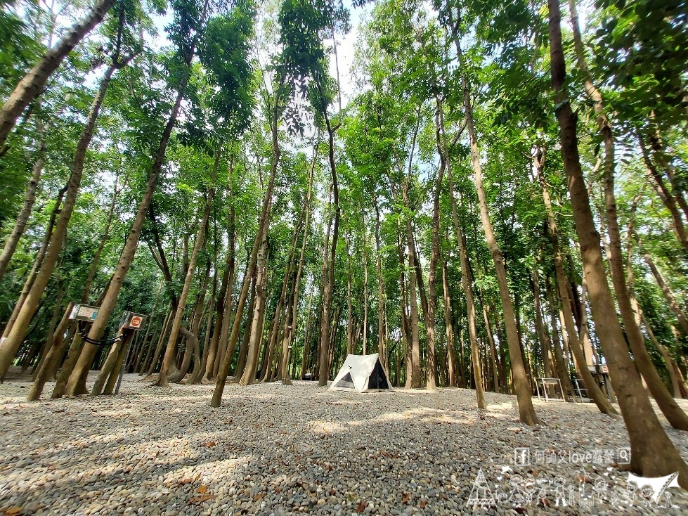 【將軍山歐舍營地】天啊出大事了 !超利害森林新樂園出現在南台