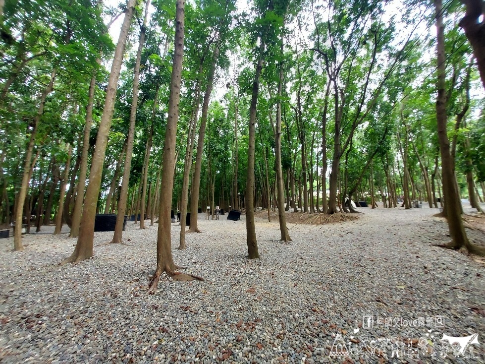 【將軍山歐舍營地】天啊出大事了 !超利害森林新樂園出現在南台