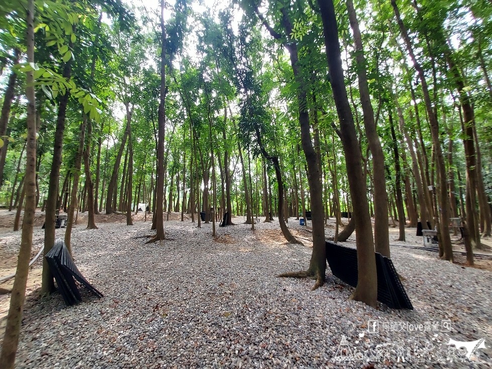 【將軍山歐舍營地】天啊出大事了 !超利害森林新樂園出現在南台