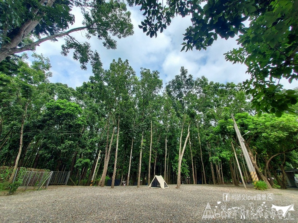 【將軍山/歐舍營地】天啊出大事了 !超利害森林新樂園出現在南