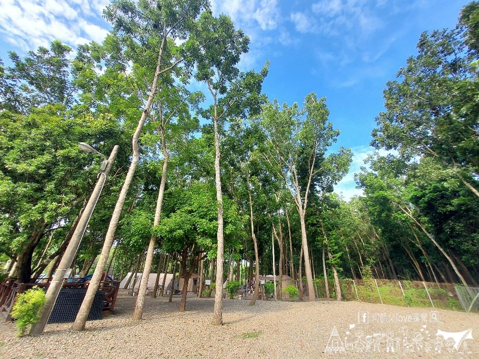 【將軍山/歐舍營地】天啊出大事了 !超利害森林新樂園出現在南