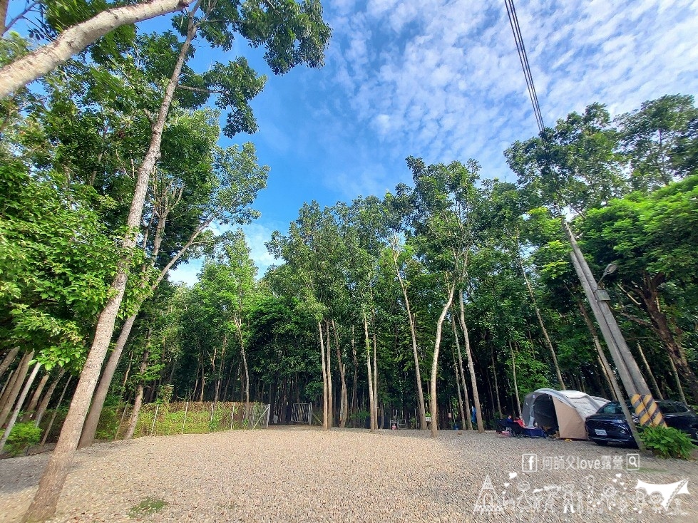 【將軍山/歐舍營地】天啊出大事了 !超利害森林新樂園出現在南