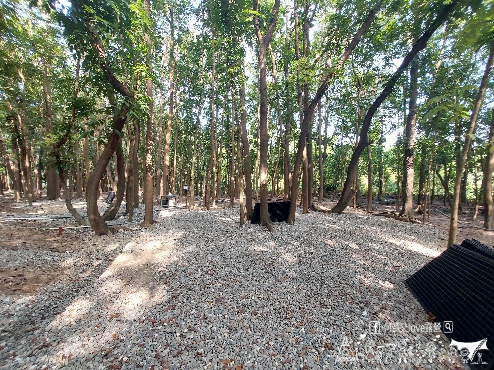 【將軍山/歐舍營地】天啊出大事了 !超利害森林新樂園出現在南