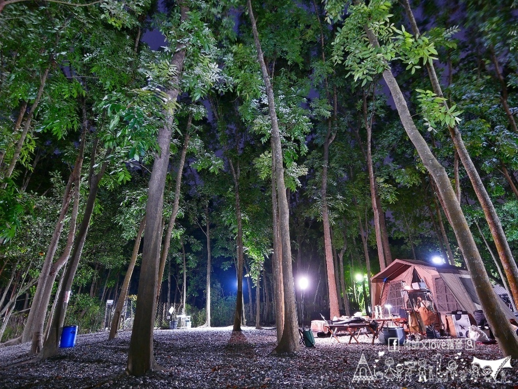 【將軍山/歐舍營地】天啊出大事了 !超利害森林新樂園出現在南