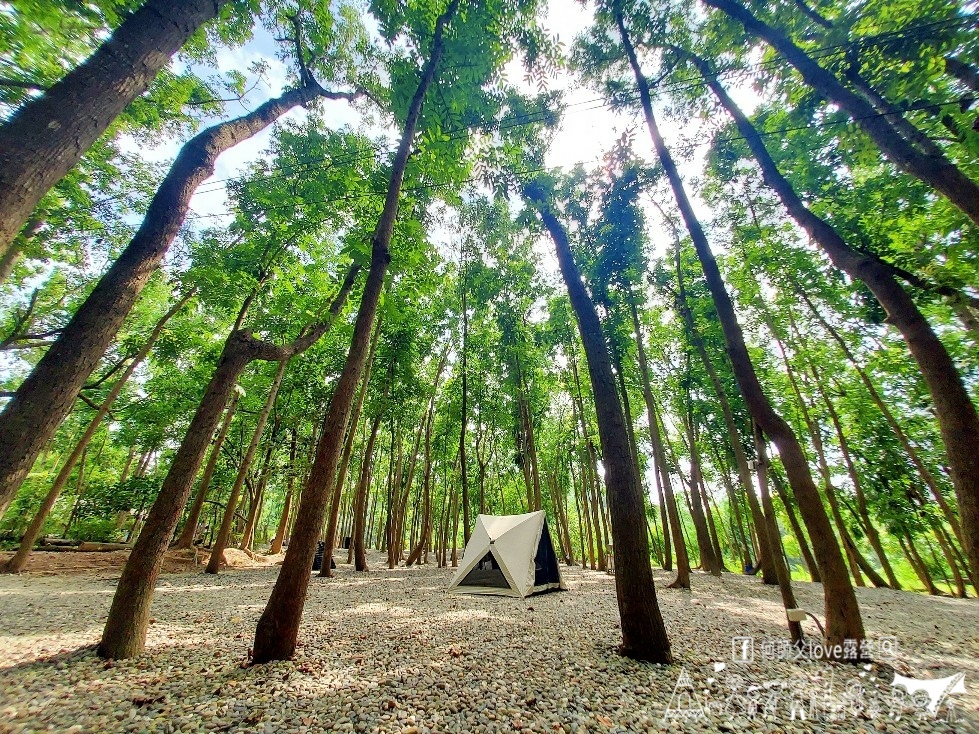 【將軍山/歐舍營地】天啊出大事了 !超利害森林新樂園出現在南