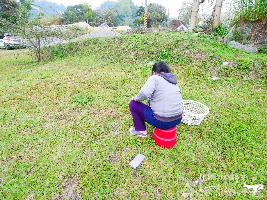 【山中奇緣親子露營區】真的忍不住 !便宜大雨棚+釣魚釣到飽出