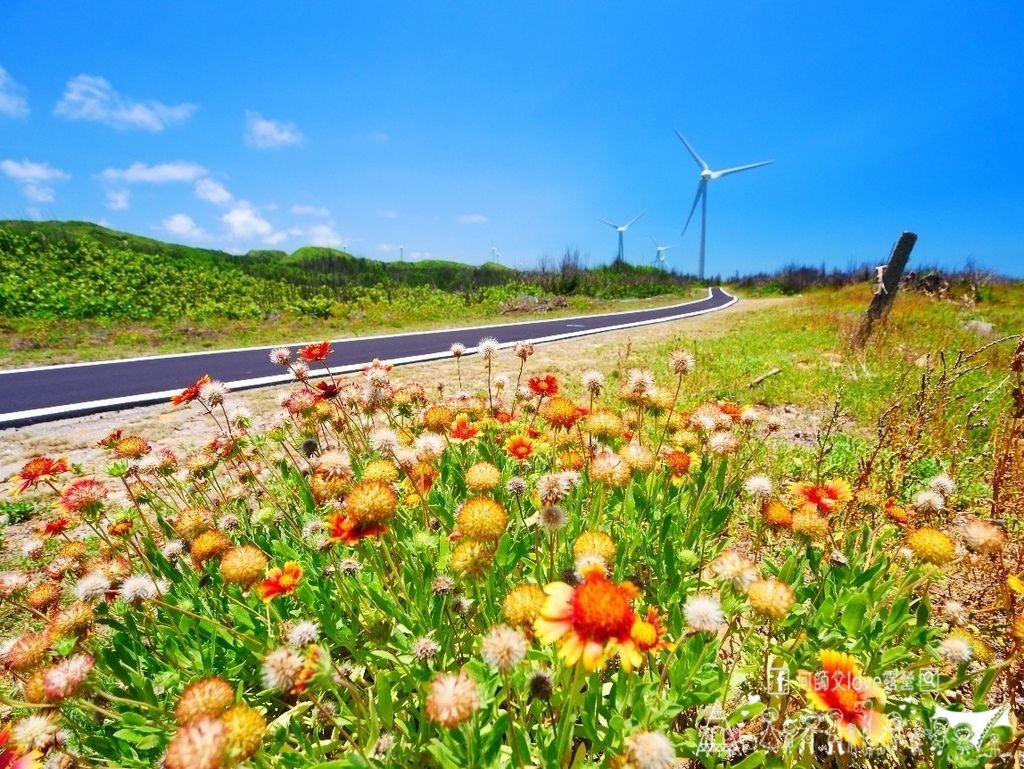 【海角樂園車泊野營地】天啊 美暈了 ! 2024超犯規新藍色