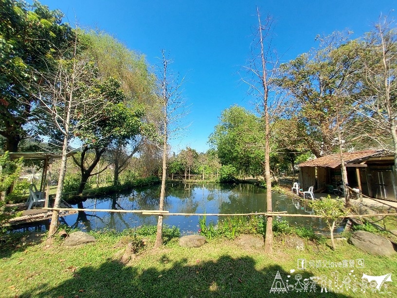 【山田/釣魚露營地】這次賺翻了!釣魚真的免費 露營新秘境出現