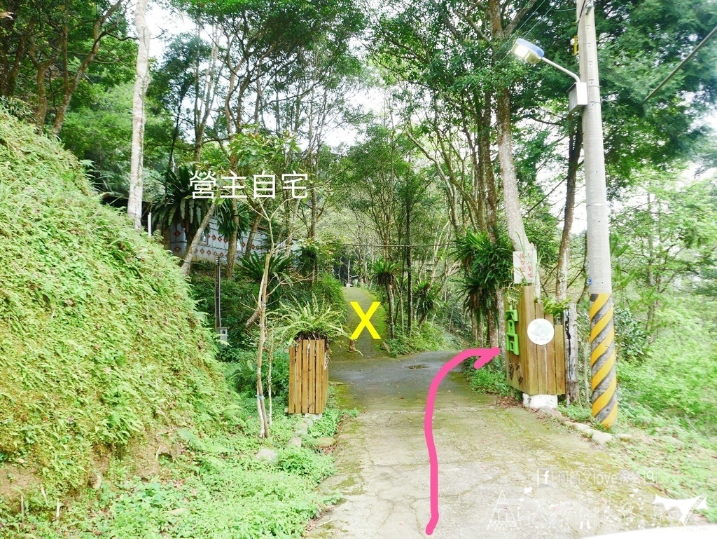 【窩.露營】訂到賺到 !星空/樹海/營火/小溪/全部都有了 