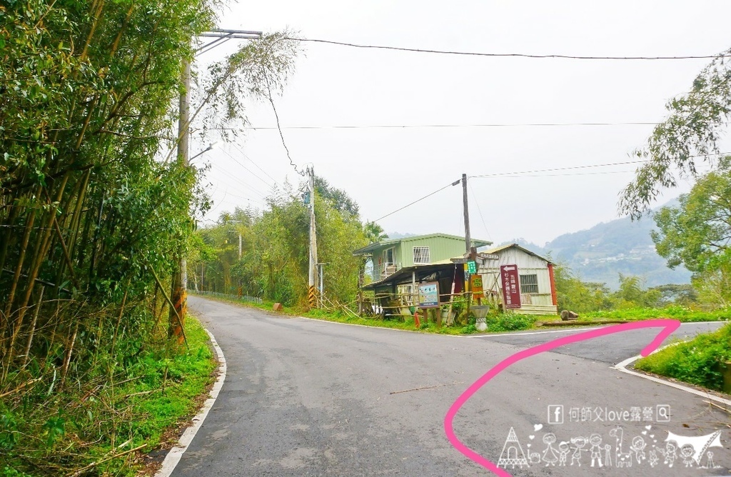 【窩.露營】訂到賺到 !星空/樹海/營火/小溪/全部都有了 