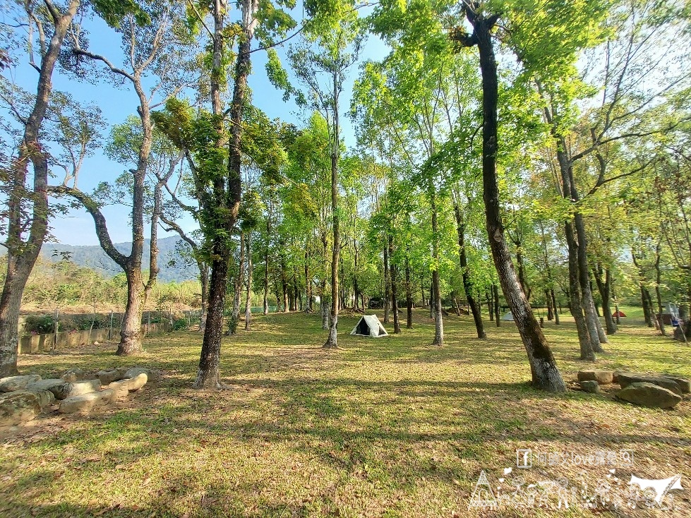 【樹榮森林營地】哇 真的嚇到 !超利害微風森林系出現大中部 