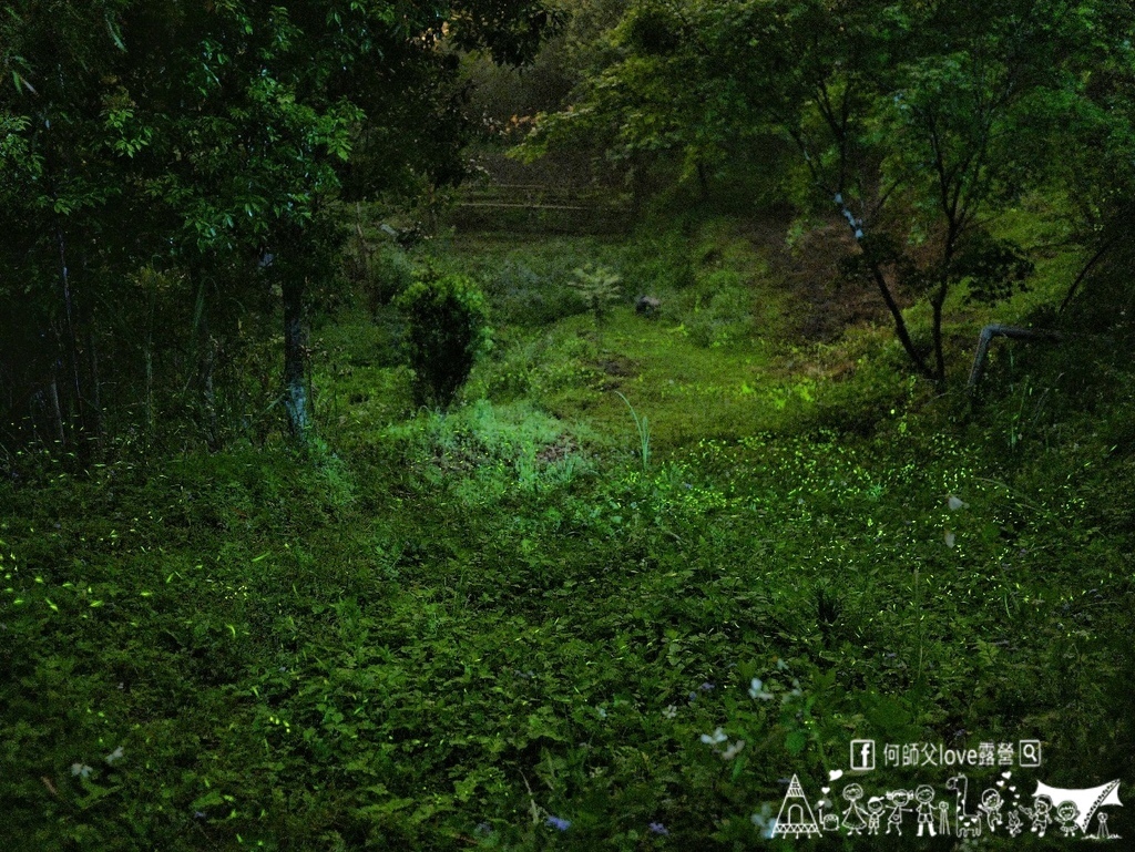 【田野/雨棚露營區】怕下雨嗎 就跟著我 !全台最便宜雨棚假日