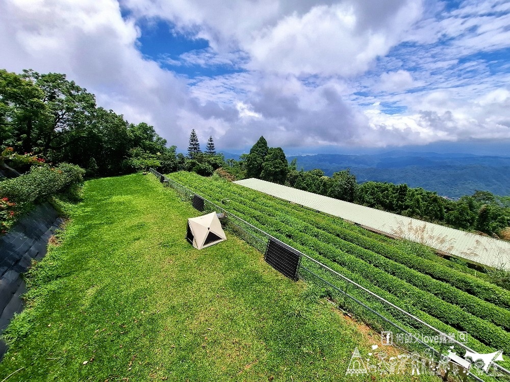 【浚晟景觀茶園農場】海拔1100冰炫風暴來襲 !即將淹沒全視