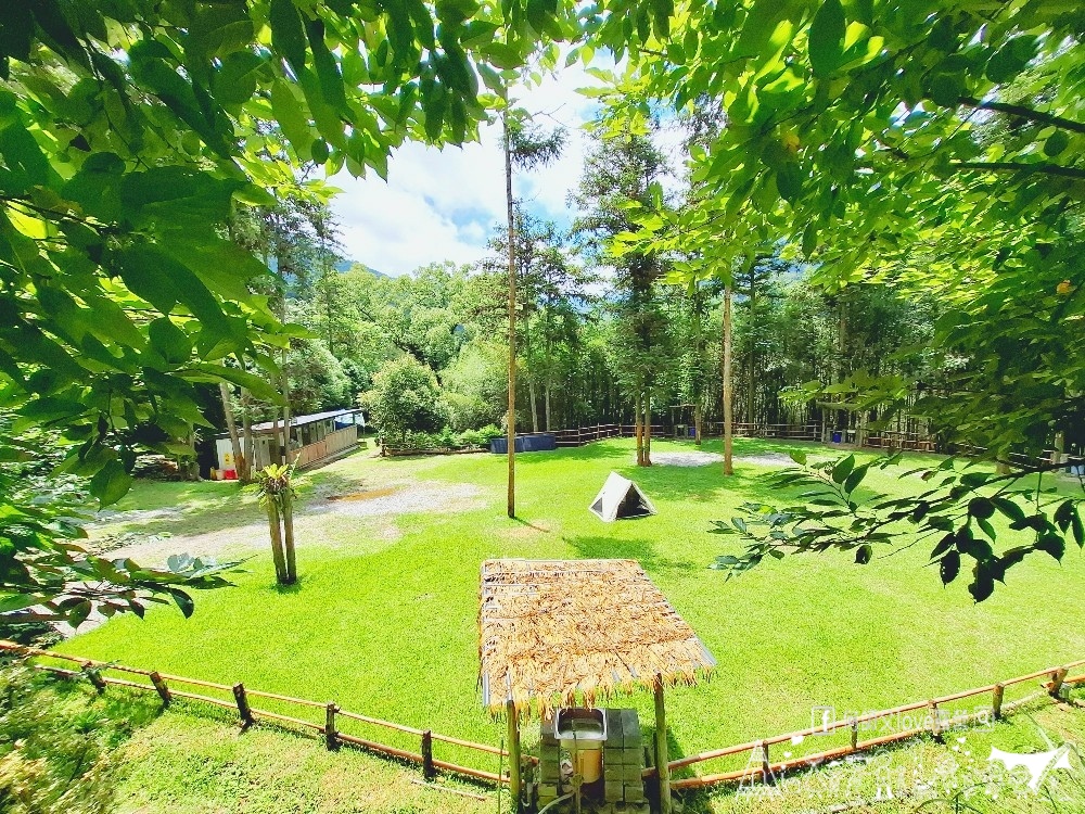 【森杉森林露營區】18度C高海拔微風森林系營地 就在大台中 