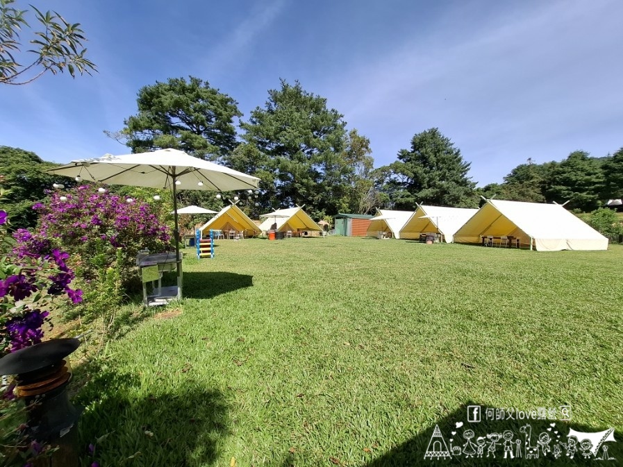 【春露茶園/免搭帳親子露營】海拔1100太犯規 ! 天空中