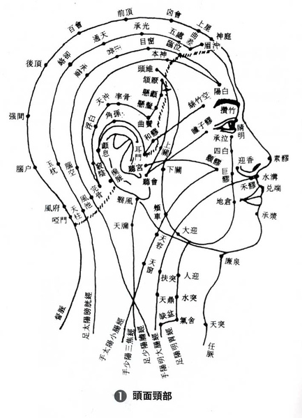 頭部穴位圖.bmp