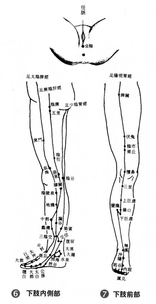 足部_脾經&胃經.bmp