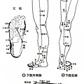 足部_膽經&膀胱經.bmp