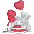 Tatty Teddy 13