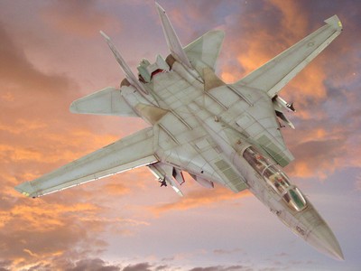 F-14 雄貓式戰鬥機 Tomcat F-14 雄貓式戰鬥機 Tomcat