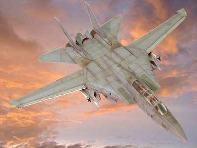 F-14 雄貓式戰鬥機 Tomcat