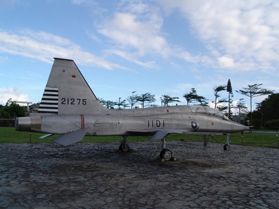 F-5B 自由鬥士式戰鬥教練機 Freedom F-5B 自由鬥士式戰鬥教練機 Freedom