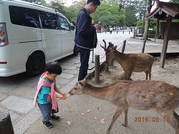 DSCN5120.JPG DSCN5120.JPG