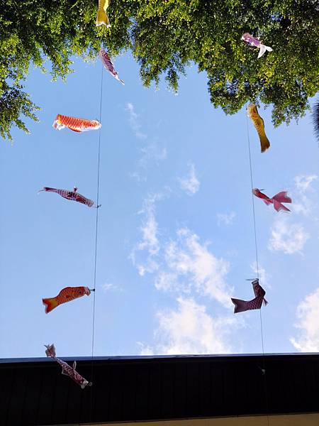 2020-11-04 14.04.39.jpg 2020-11-04 14.04.39.jpg