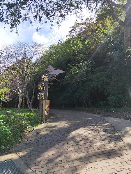 2020-11-17 11.38.05.jpg