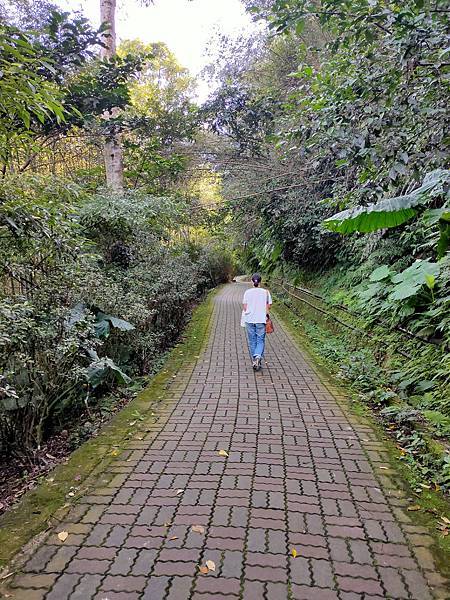 2020-11-17 11.46.29.jpg