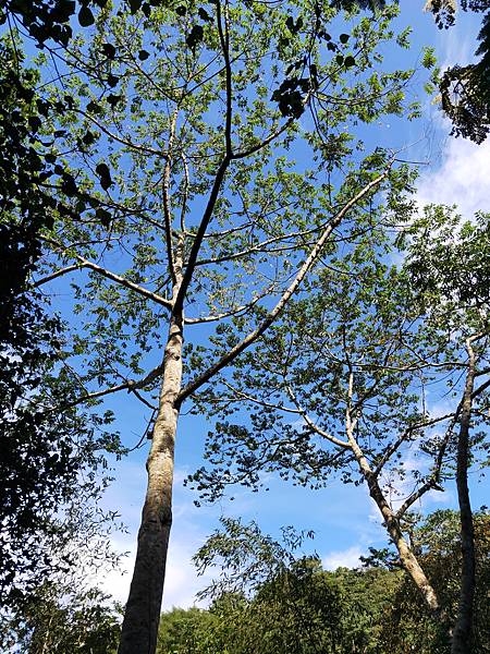 2020-11-17 11.52.31.jpg