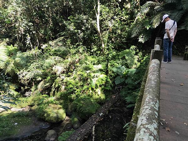 2020-11-17 12.00.57.jpg