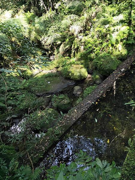 2020-11-17 12.01.04.jpg