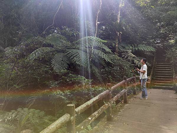 2020-11-17 12.01.26.jpg